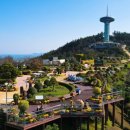 완도타워 이미지