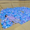 스타보드55 네이버블로그