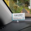 꿈그린스테이울릉 이미지