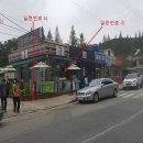 수원-0877 네이버블로그