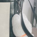 동전주모터스 이미지