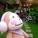 지니스테이 이미지