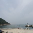 [부산촌집매매]부산 강서구 대항동 50평 촌집 매매 이미지