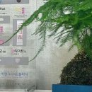 시너지성형외과의원 이미지