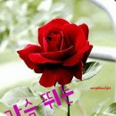 젠또