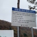 황금들녁 | 갈대밭이 예쁜 산책코스, 용인 길업습지공원. 차크닉 명소.