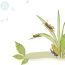 만물민박 이미지