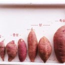 효정농장(2) 이미지