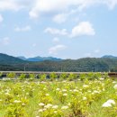 옥천공원 이미지