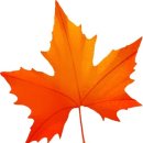 ‘울긋불긋’ 상하이 6대 단풍 명소 추천 이미지