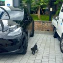 오브메르 이미지