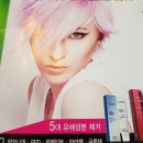 미용재료상