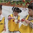 꼬마대통령어린이집 - 수원시 장안구 | 꼬마대통령어린이집