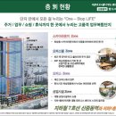 푸루지오 이미지