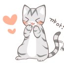 고양이호텔 묘랑묘랑 이미지