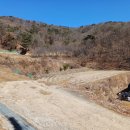 박영태농장 이미지