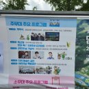 달려라119 | 2026 담양 대나무 축제 다녀온 후기(축제 2일차 방문), 죽녹원