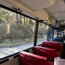 해양사 | 대전 오월드 사파리 정리｜웨이팅, 동물 종류, 주랜드 후기