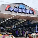 블루하우스 | 캠핑일기.우니메이카 태안 캠핑장 후기 / 조용하고 숲속 휴양림느낌의 커플전용 캠핑장 추천 ! / 모항항...