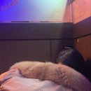 송지다방