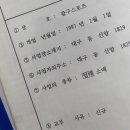 팔구스포츠
