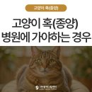가야메디컬센터 이미지