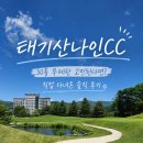 나인 - 동구 동부로30길 55 | 태기산나인CC 후기｜30홀 무제한 고민된다면 직접 다녀온 솔직 리뷰