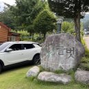 소금강늘벗 이미지