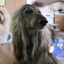 환웅농장 이미지