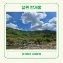 밤개울캠핑장 | 밤개울 캠핑장 강원도 철원 자연 힐링 가족 캠핑 편의시설 계곡 아이들 놀거리 후기