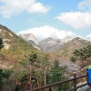 성문중학교 이미지