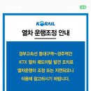 화이트리에울산