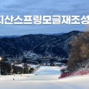 [이미지] 모글제국 제5차 지산리조트 스프링 모글코스 재조성하였습니다. 2024년 2월 23일 (금) 이미지