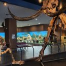 한국자연사박물관 이미지