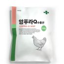 병아리약국 이미지