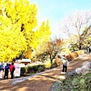 나드리에 이미지