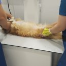 해와달동물병원 이미지