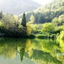 세량제 이미지