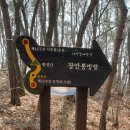 대전둘레산길 이미지