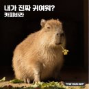 창의더함미술학원