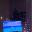 누아르 블랑 이미지