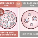 디엠컴퍼니 이미지