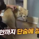 둘만농장 이미지