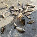 여수낚시터 이미지