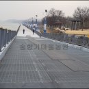 탄금호국제조정경기장 경기장 이미지