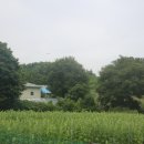 초계주씨 주명흠묘소 이미지