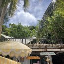 돌고래PC | 하루에 50명만 스노쿨링이 가능한 괌 라티디안 프라이빗 비치 이용 리얼 후기