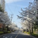 목련@사랑경로당 이미지