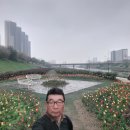꽃동산당구장 Daum카페