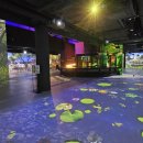 원더파크 이미지